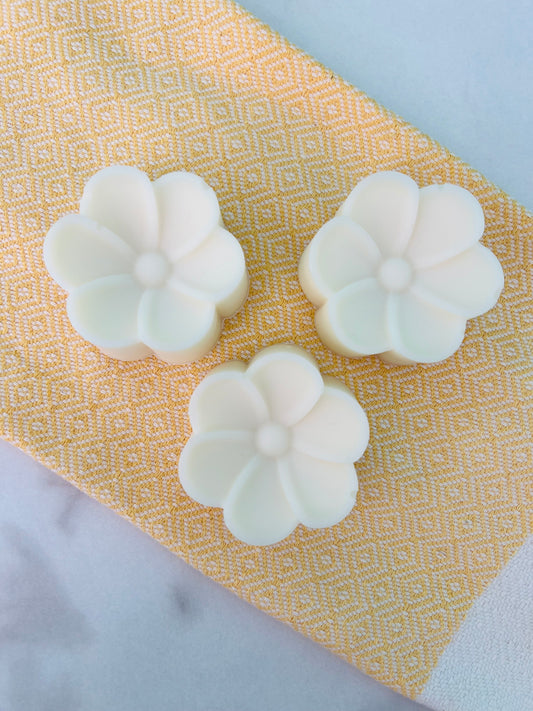 PURELY CLEAN High Cleanse Bar- Dish Soap